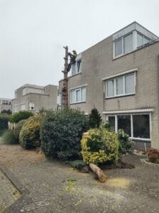 Boomonderhoud-werknemer