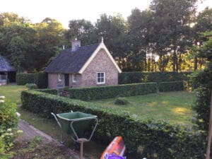 Achtertuin-onderhoud-gazon