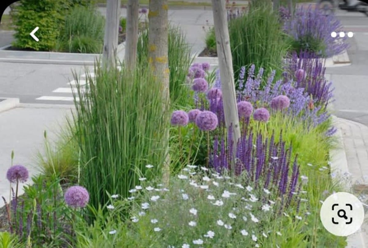 Tuin-aanleg-onderhoud Tuin-aanleg-onderhoud