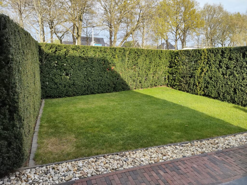 Gazononderhoud in nieuwe tuin