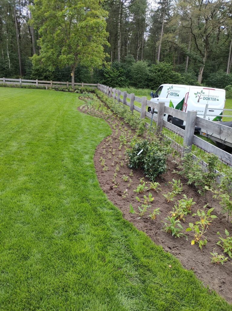 Gazononderhoud in nieuwe tuin