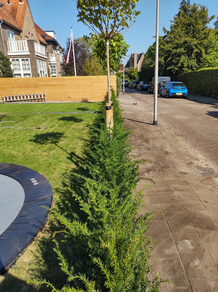 Gazononderhoud in nieuwe tuin